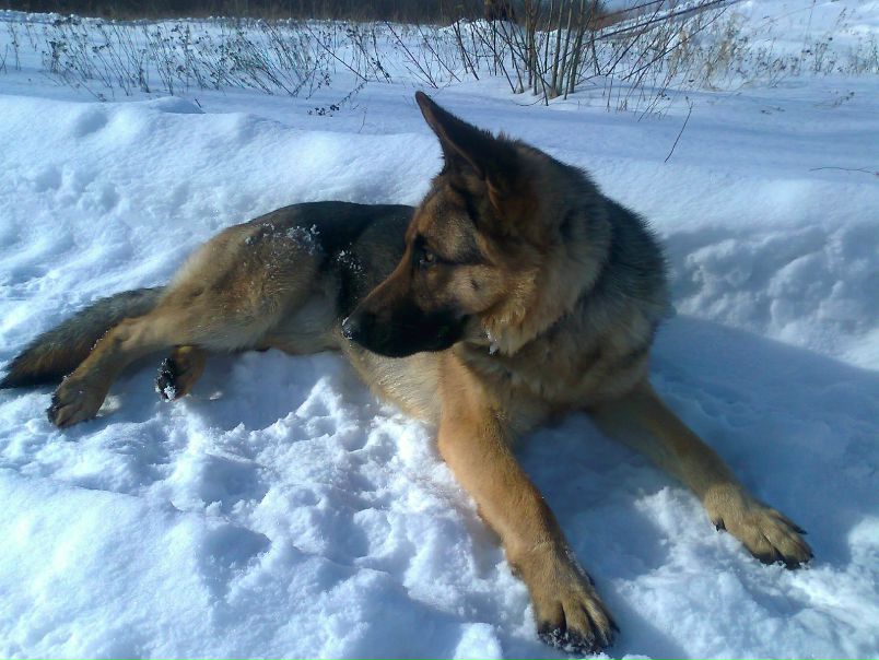 №58, Влад Павлов, 45 лет, Тирасполь №58, Влад Павлов, 45 лет, Тирасполь