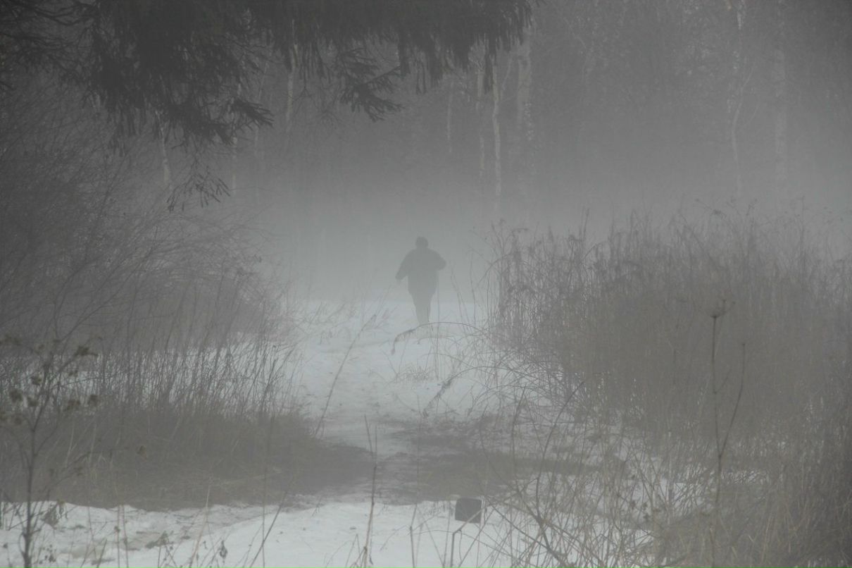 Владимир Сергеев | Москва