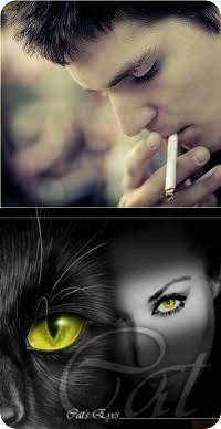 Сергей Проненко ----> | Пятихатки