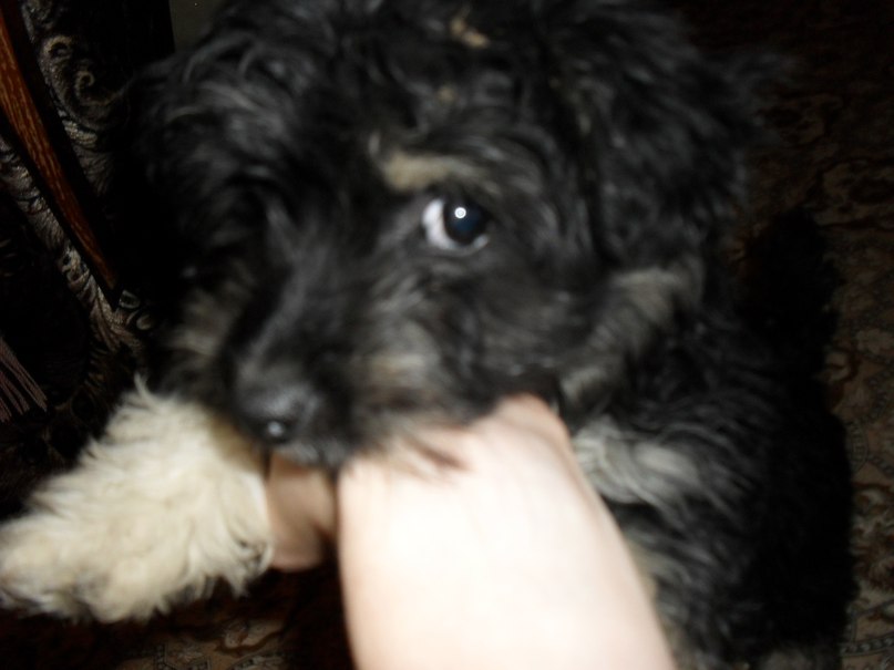 Олеся Федосеева | Анжеро-Судженск