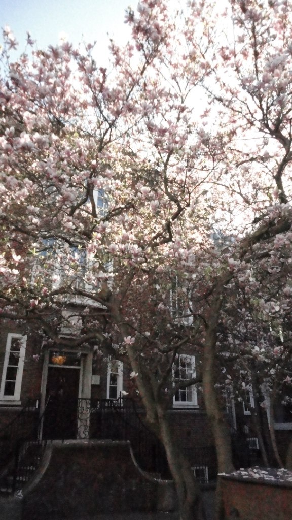 Анна Сватовская | Санкт-Петербург