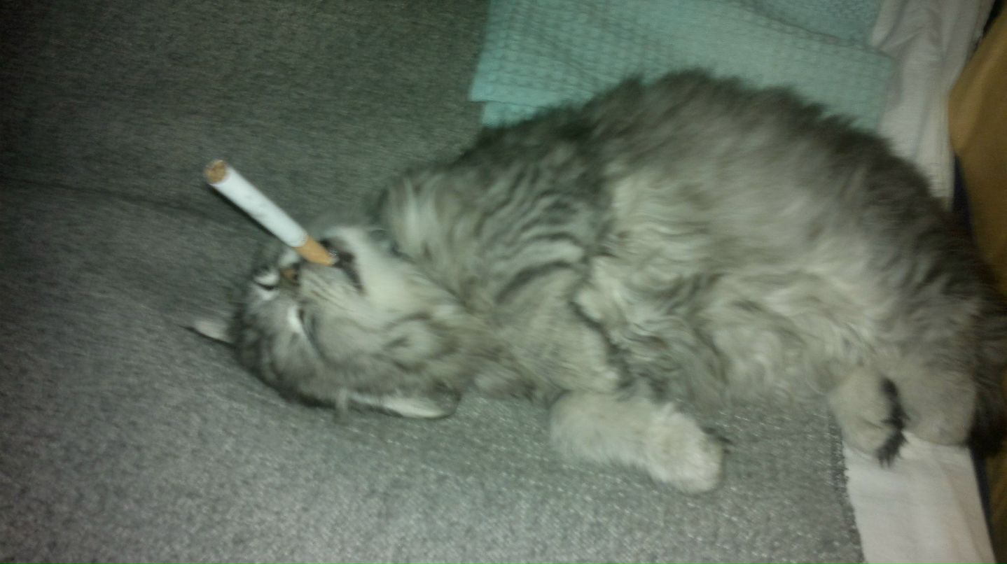 Александр Сидоров | 