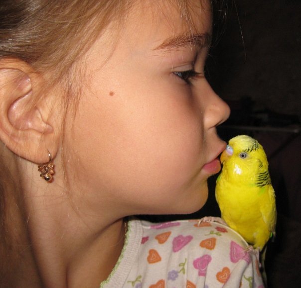 №16, Татьяна Каштан №16, Татьяна Каштан