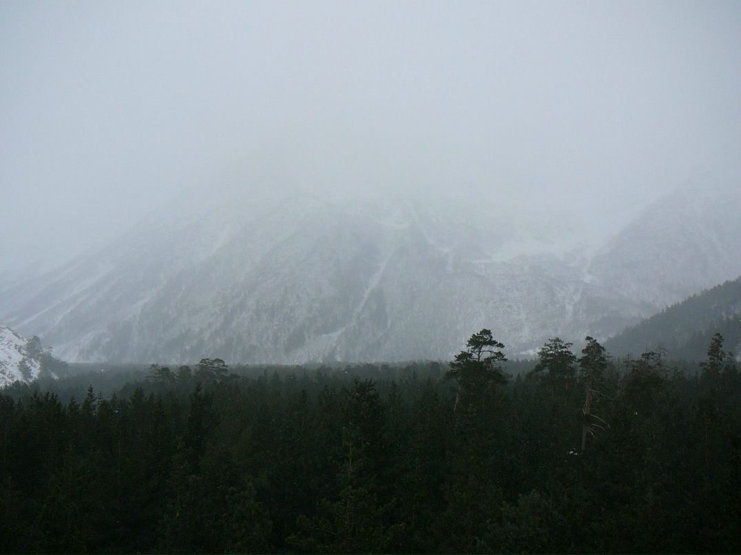 Анна Пасмурова | Санкт-Петербург