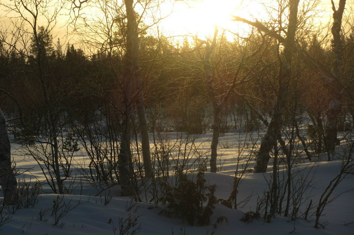 Арсений Петрик | Харьков