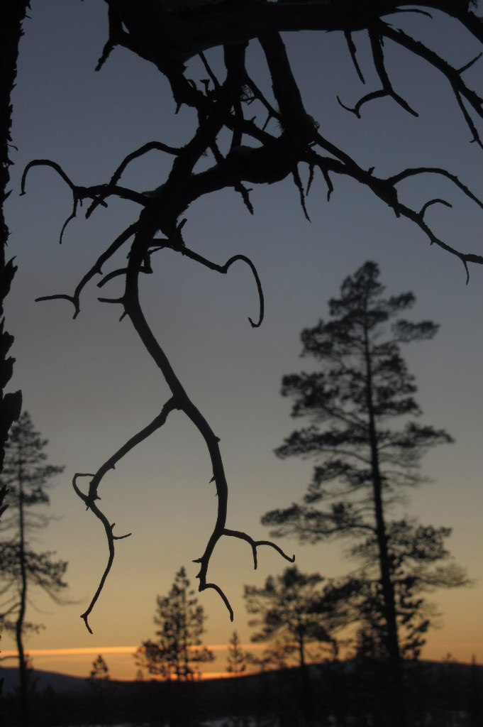 Арсений Петрик | Харьков