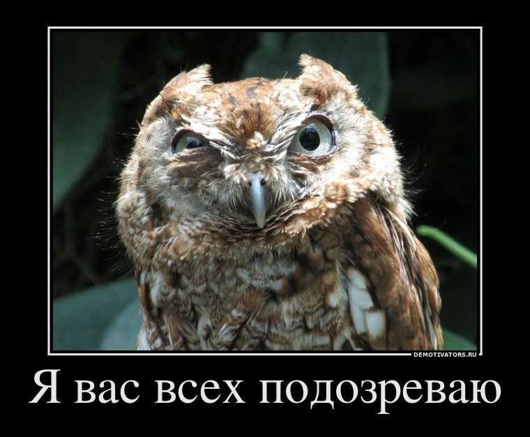 Олег Кутишевский ☜♡☞ツ DICIBELLツ ☜♡☞ | Николаев