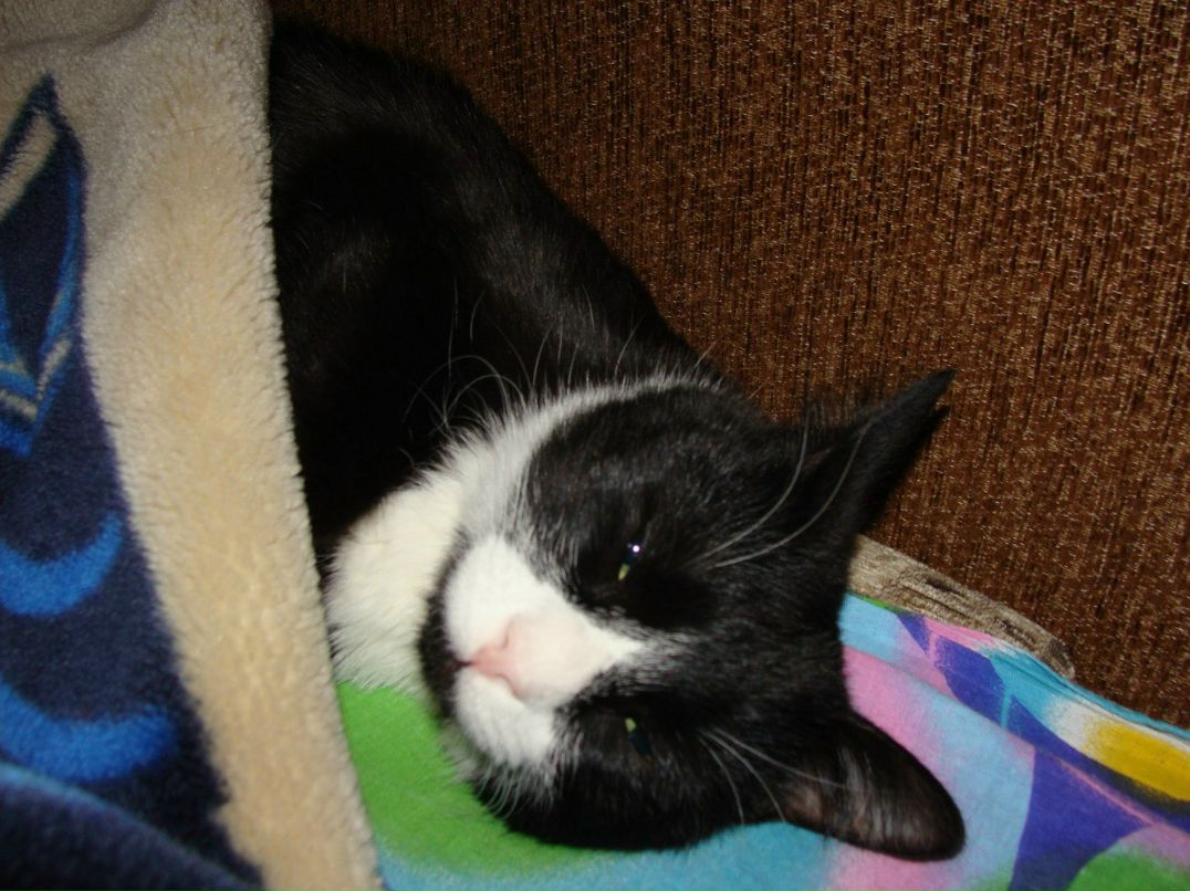 Алексей Снытко | Санкт-Петербург