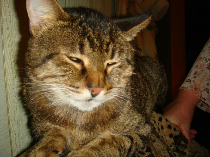 Анна Вишникина Александровна | Одесса