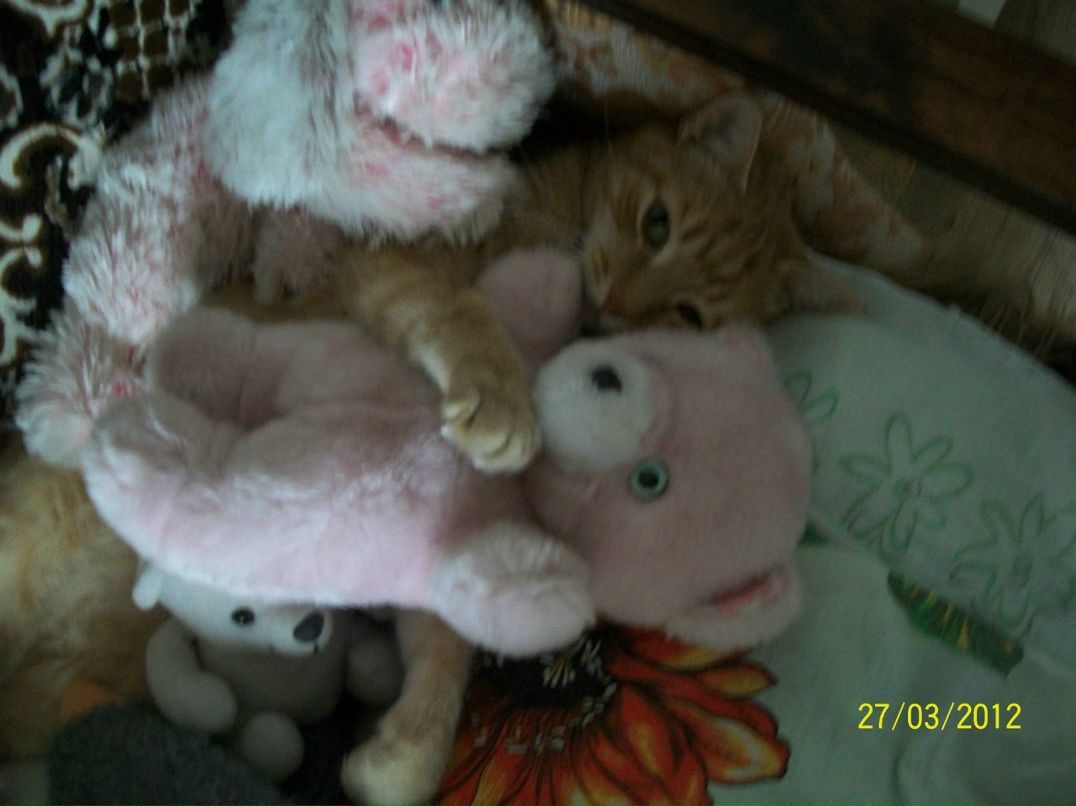 Ольга Мартынова | Санкт-Петербург