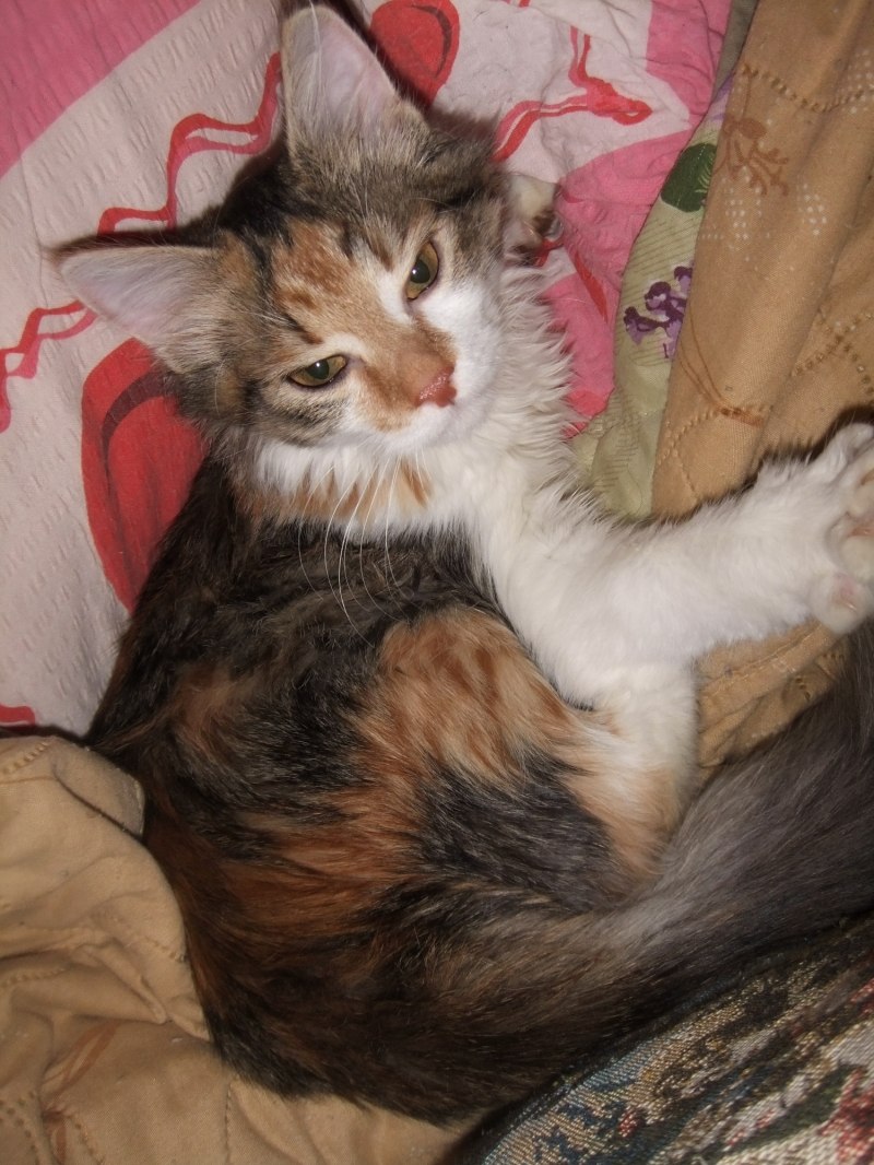 Анна Бучкова | Рязань