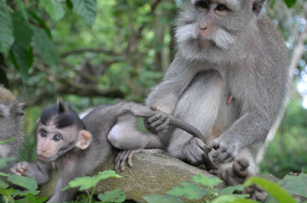Светлана Хорькова | Москва