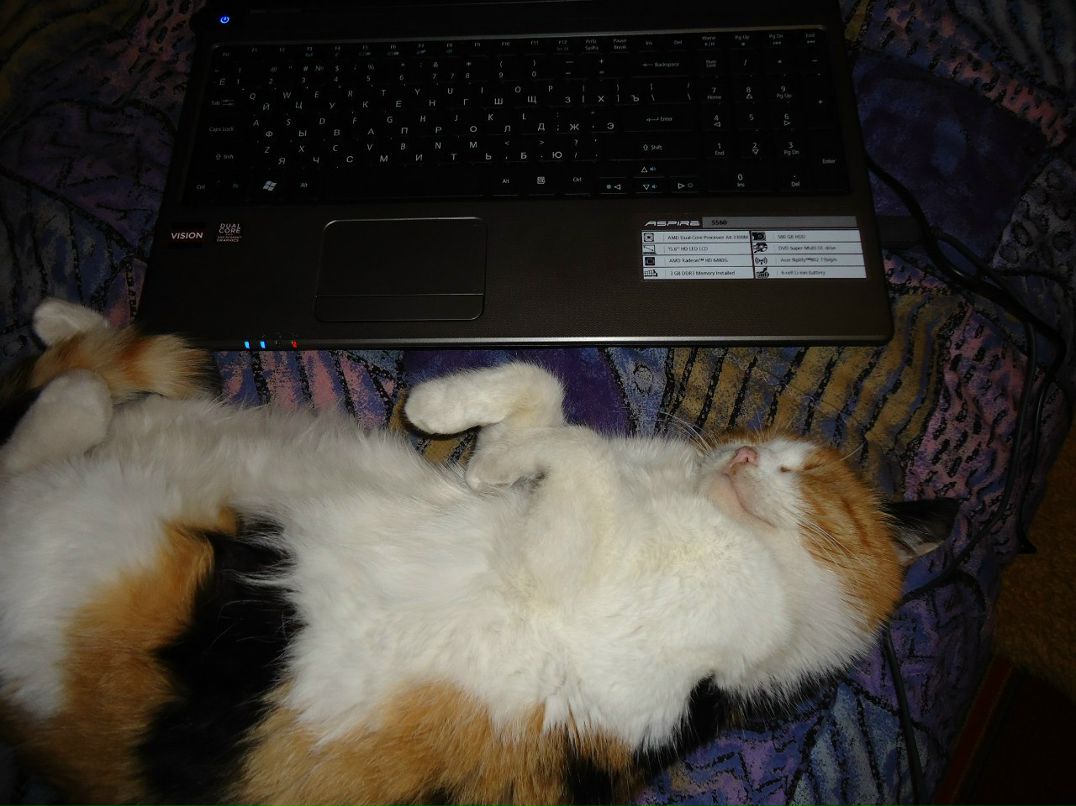 Юлюська Константин | 