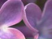 Анна Волкова | Москва