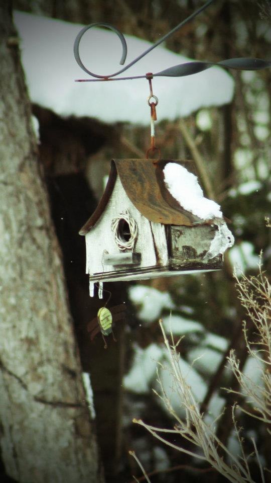 Марина Закрыжевская | 