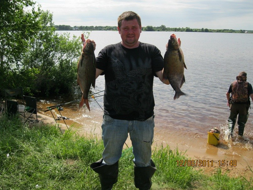 Дмитрий Орлов | Пушкино