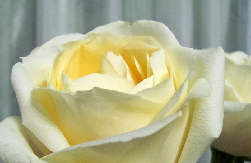 Антонина Иванкова | Иркутск