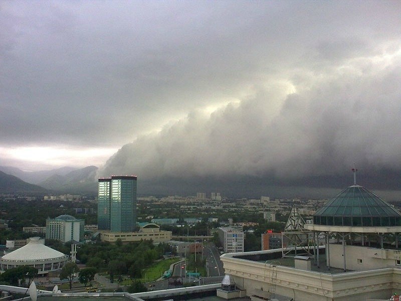 Ирина Гринь-Георгиевская | Алматы