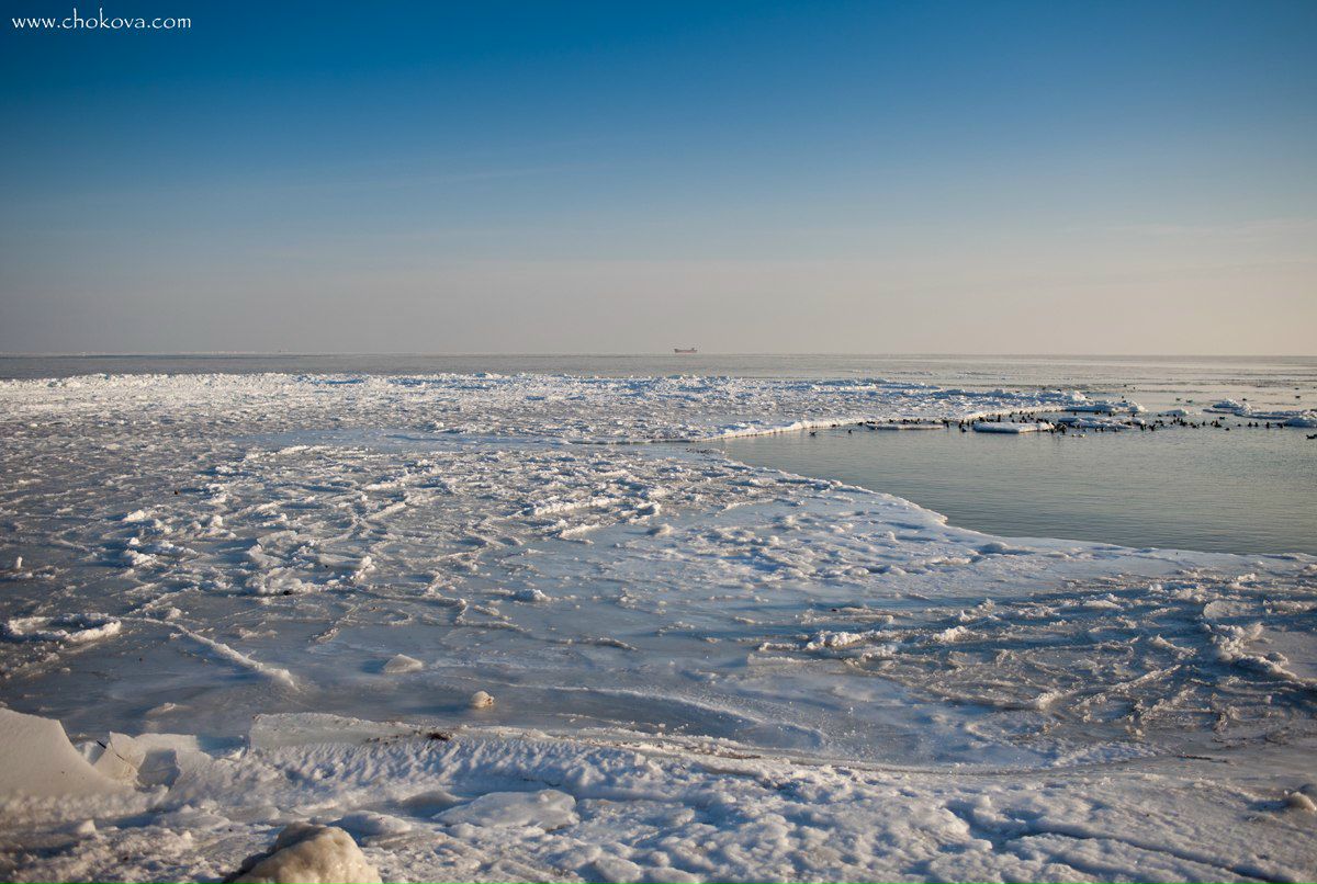 Татьяна Чокова | Одесса