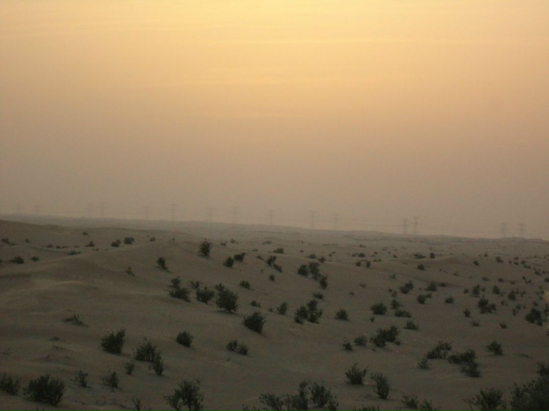 Олег Куприянов | Москва