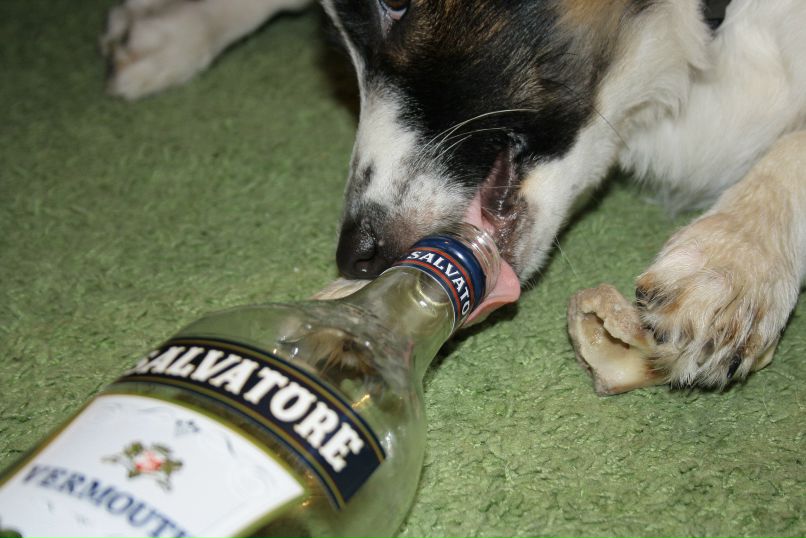 Мария Мельникова | Томск