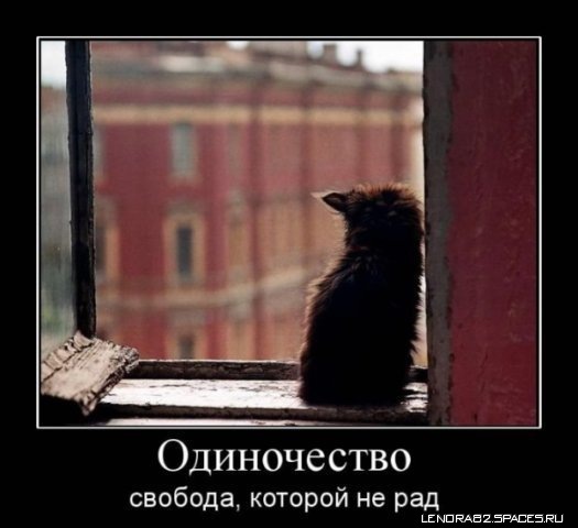 №43, Юля Михальчик, 36 лет, Измаил №43, Юля Михальчик, 36 лет, Измаил