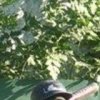 Аватар: Данил Яруллин