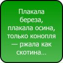 №8 Оля Борисова 15.05.1991: профиль, фото, статус - ВКонтакте