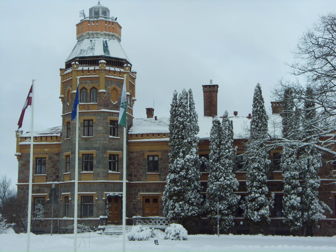 Мира Усович | Санкт-Петербург