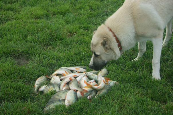 №32, Максим Меншутин, Praha №32, Максим Меншутин, Praha