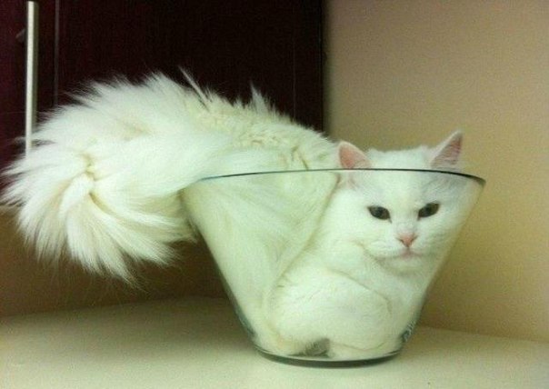 Вера Ескина | Севастополь