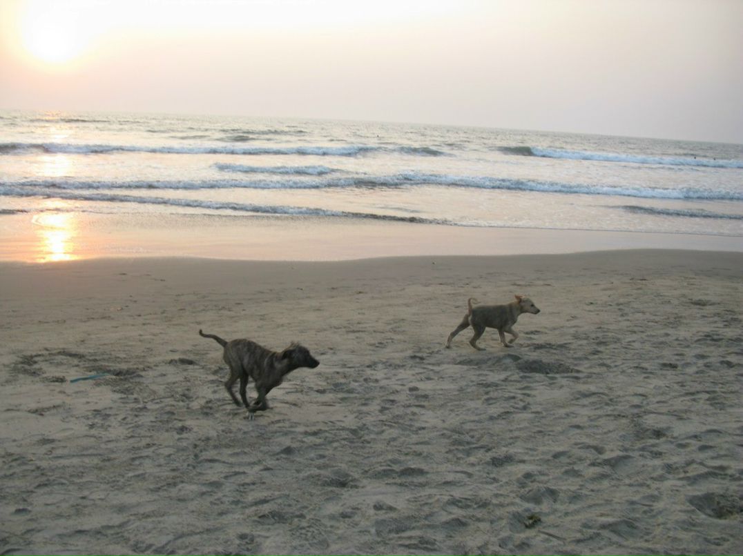 Svetlana Perec РыЖаЯ | Москва