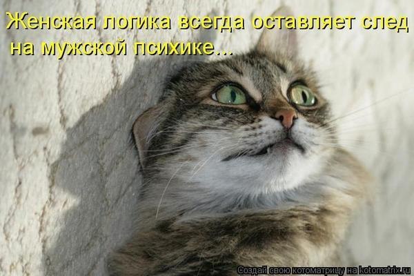 Тарас Саковский | Санкт-Петербург