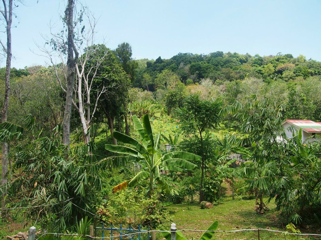 Александра Захарова | Санкт-Петербург