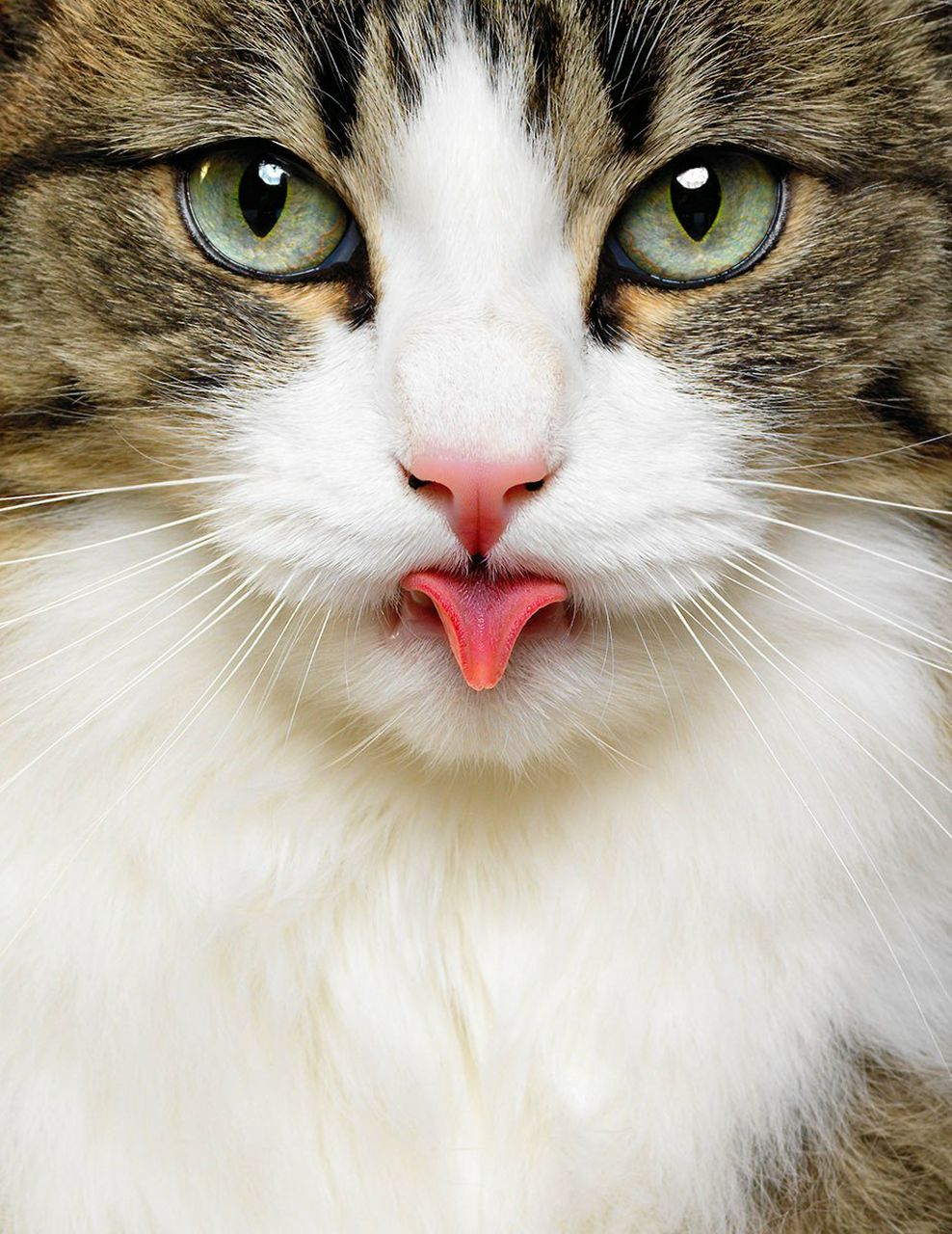 Таня Колегова | Москва