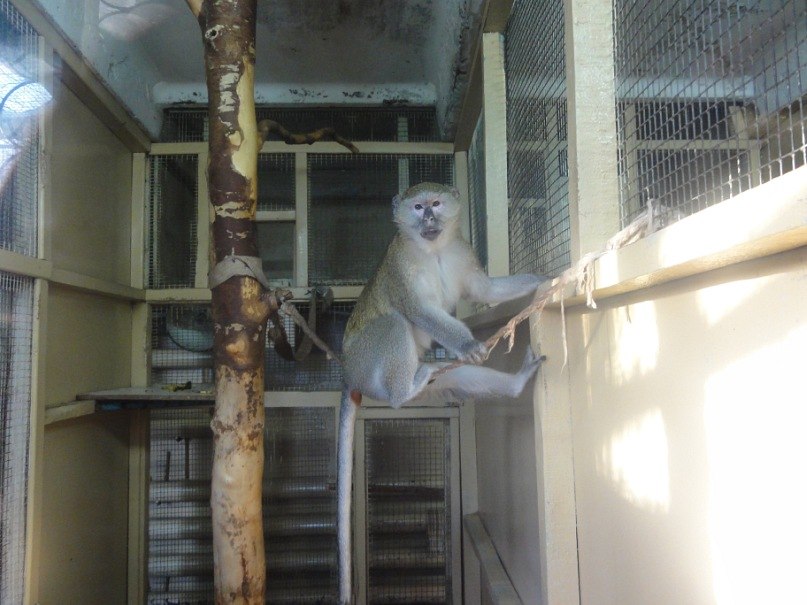 Руслан Зибров | Петропавловск-Камчатский