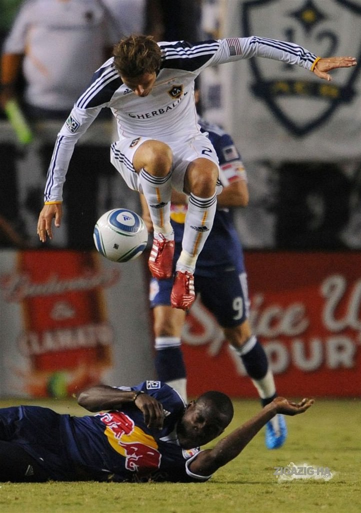 Виталий Курносов | Новочеркасск