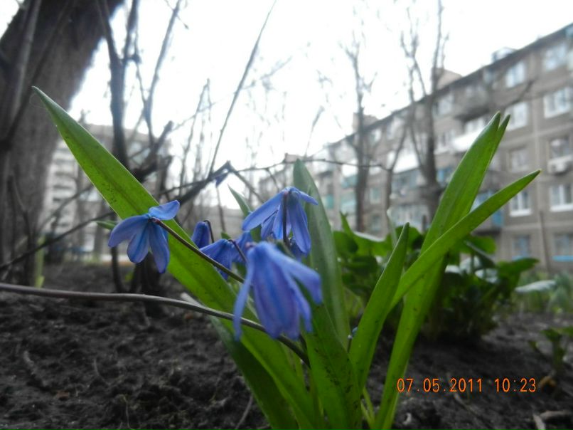 Наталья Воропаева | Краматорск