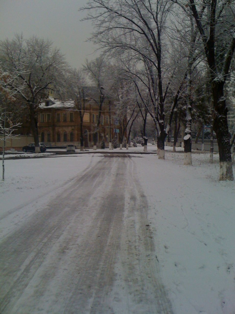 Sergey Ibragimov | Ташкент