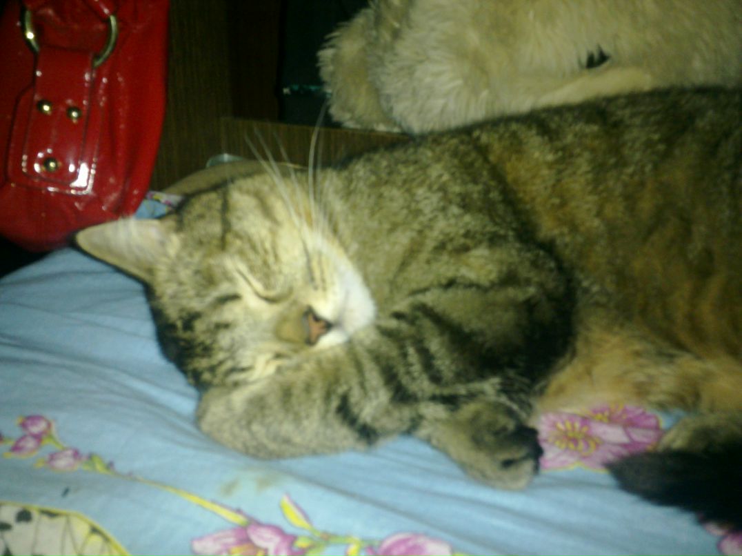 Лелька Яковлева | Москва