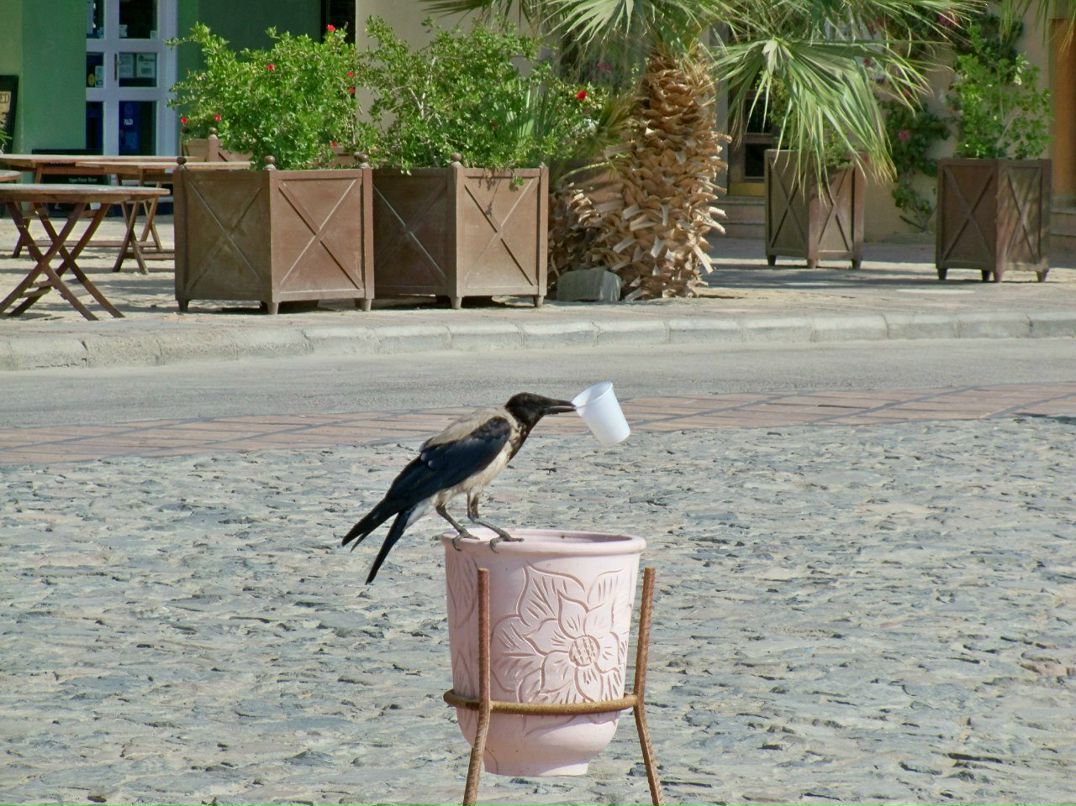 Виктория Комарова | Нижний Тагил