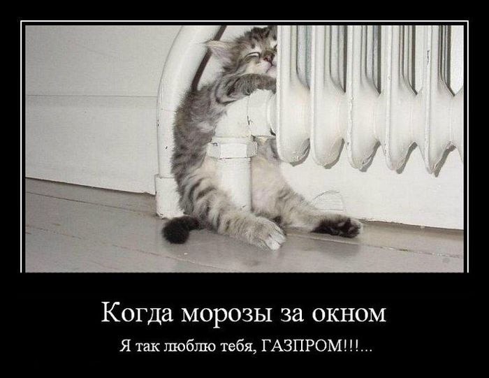 Виталий Кваша | 