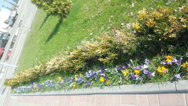 №55, Оля Сташкевич, 33 года, Тополи №55, Оля Сташкевич, 33 года, Тополи