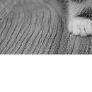 №31, Віталік Токарчук, 32 года №31, Віталік Токарчук, 32 года