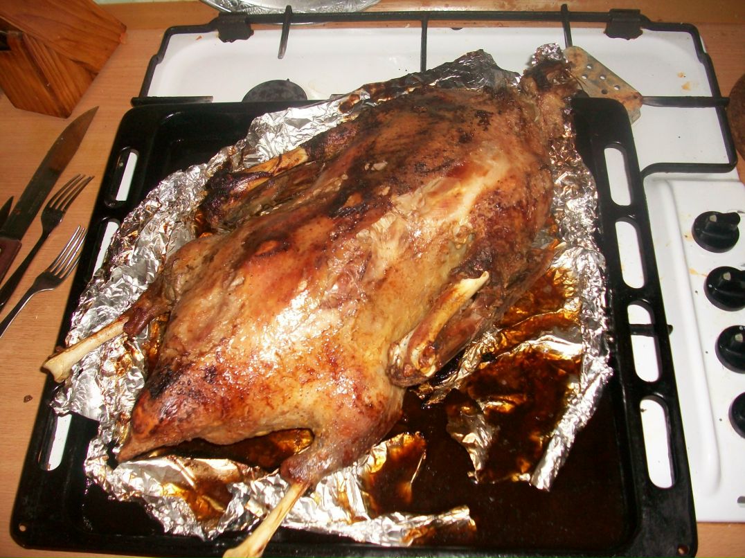 Анастасия Лузанова | Калининград