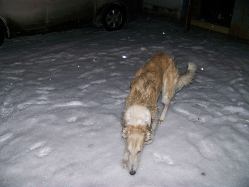 Дениска Борисов | Екатеринбург