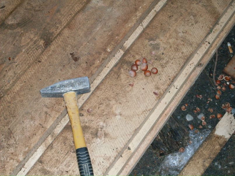 Андрей Шутов | Екатеринбург