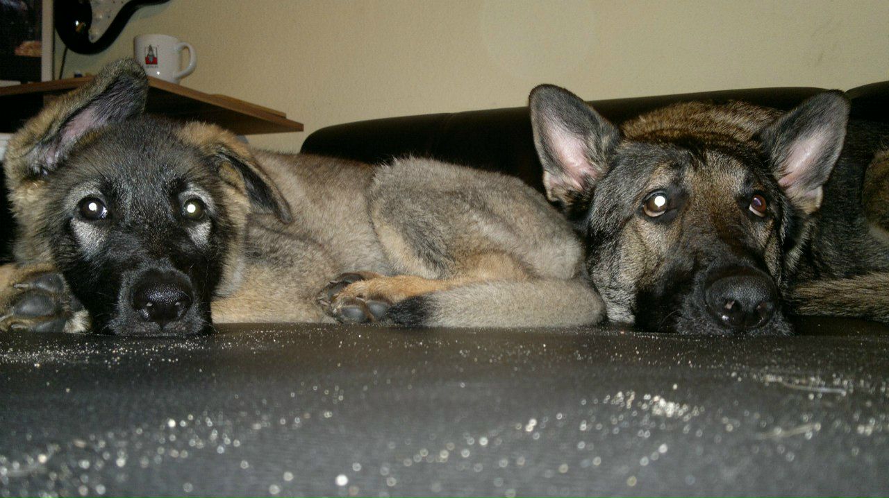 Anastasia Zezegov | Flensburg