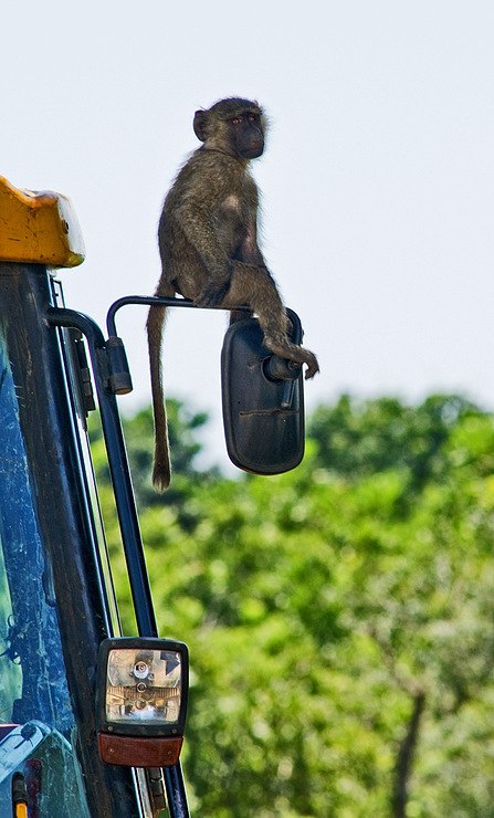 Иван Пилюгин Skiv | Москва