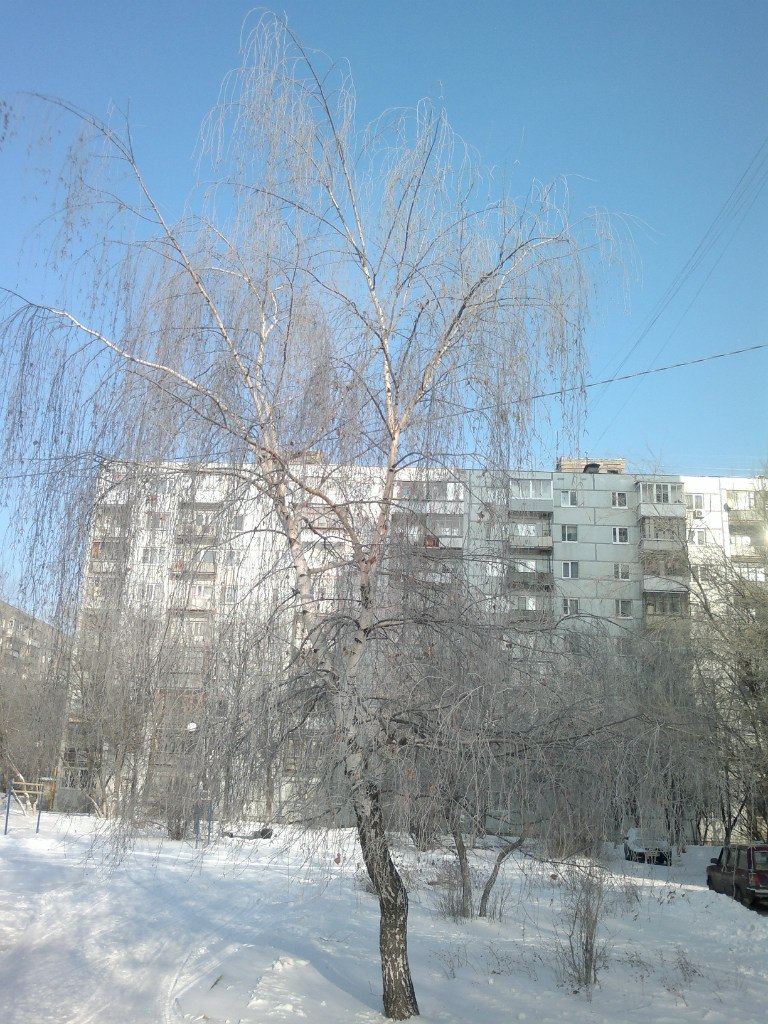 Илья Орлов | Москва